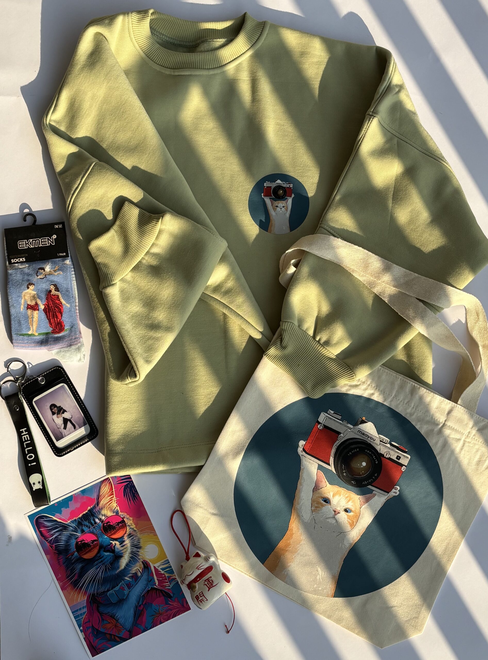 توت بگ دوربین و گربه